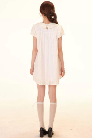 A-Line Peter Pan Collar Dress