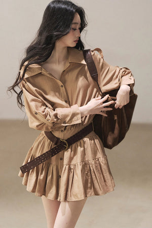 Chestnut Brown Shirt Dress And Pants Set-Up
