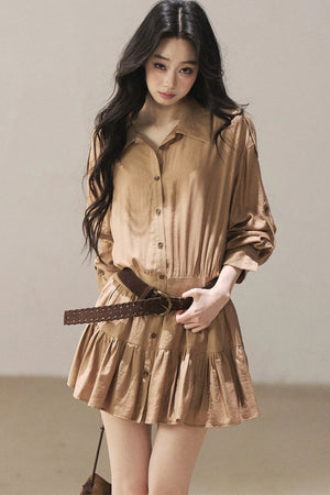 Chestnut Brown Shirt Dress And Pants Set-Up
