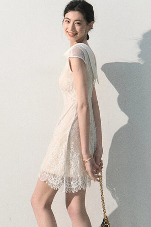 Cloud Lace Jacquard Dress