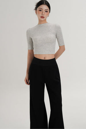 Cropped High Neck Short Sleeve Top
