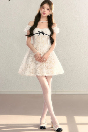 Embroidered Lace A-Line Slimming Dress
