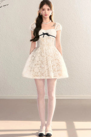 Embroidered Lace A-Line Slimming Dress