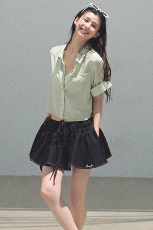 Embroidered Puffy A-Line Skirt