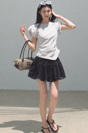Embroidered Puffy A-Line Skirt