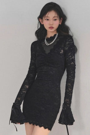 French Lace Mesh Dress