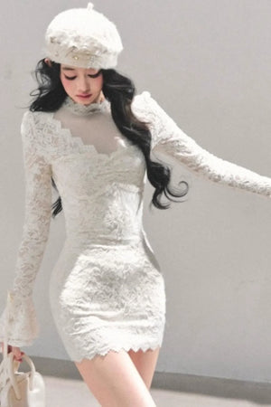 French Lace Mesh Dress