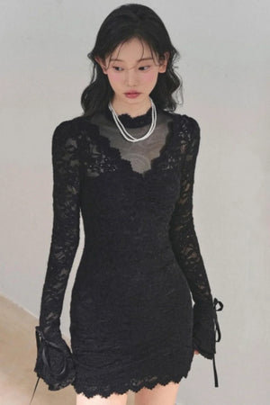 French Lace Mesh Dress