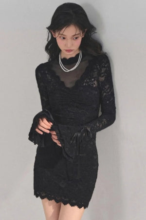 French Lace Mesh Dress