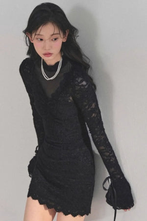 French Lace Mesh Dress