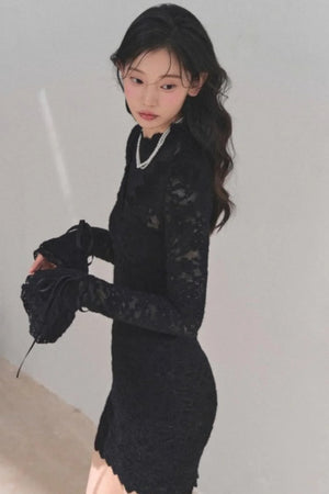 French Lace Mesh Dress