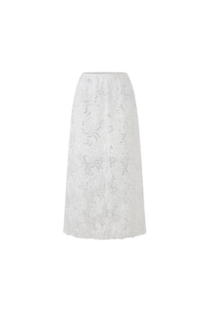 French Romantic Lace Skirt Set-Up