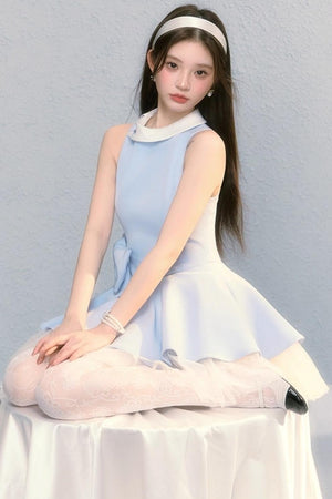 Fugitive Princess Mesh Panel Ballet Dress