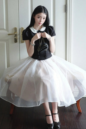 Gentle Style Mesh Skirt Set-Up