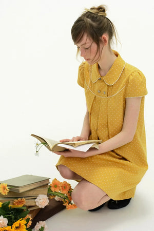 Misty Rococo Retro Dress