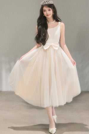 Moonlight Mesh Ballet Dress