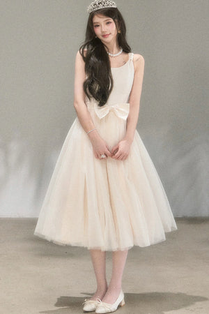 Moonlight Mesh Ballet Dress