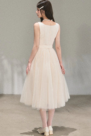 Moonlight Mesh Ballet Dress