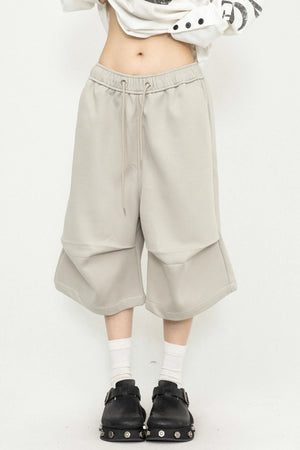 Pleated Culotte Pants