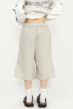 Pleated Culotte Pants