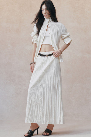 Pleated Stand Collar Shirt and Skirt Set