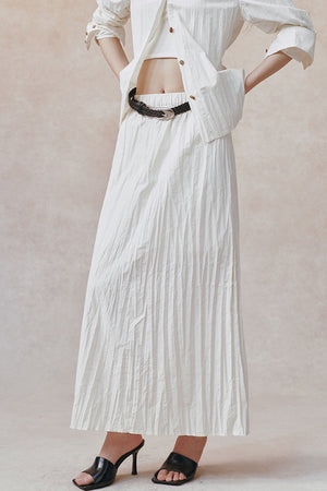 Pleated Stand Collar Shirt and Skirt Set
