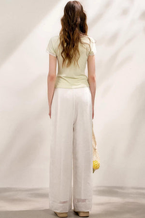 Sheer High-Waisted Wide-Leg Pants