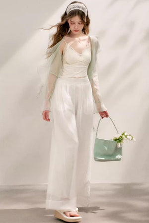 Sheer High-Waisted Wide-Leg Pants