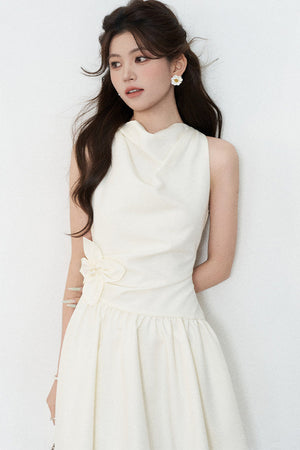 Sleeveless Cowl Neck A-Line Dress