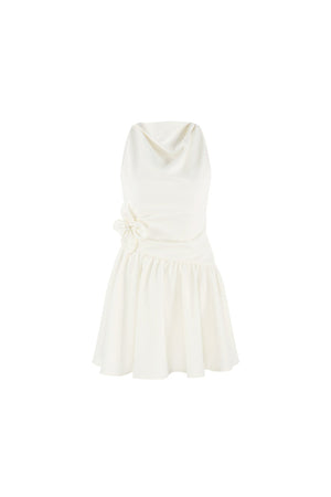 Sleeveless Cowl Neck A-Line Dress
