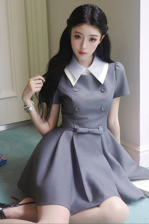 Slimming Waist-Defining Elegant Dress