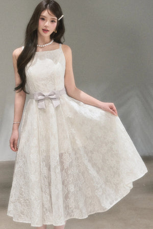 Soft Lace A-Line Dress