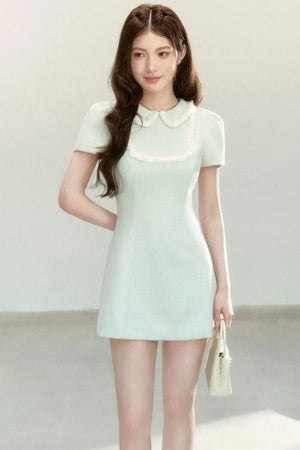 Sweet Lapel A-Line Dress
