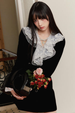 Velvet Lace Embroidered Dress