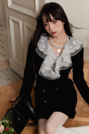 Velvet Lace Embroidered Dress
