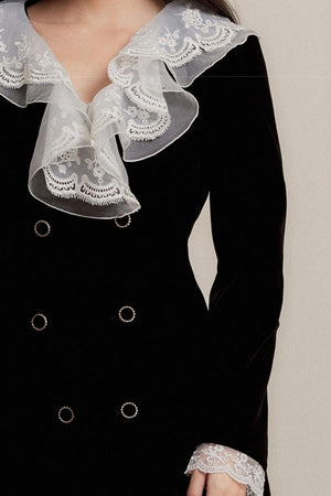 Velvet Lace Embroidered Dress
