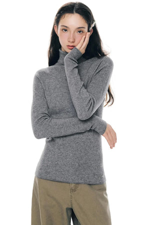 Winter Colorist Turtleneck Top