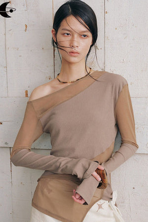Asymmetrical Sheer Long Sleeve Top