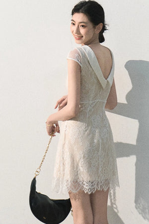 Cloud Lace Jacquard Dress