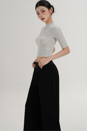Cropped High Neck Short Sleeve Top