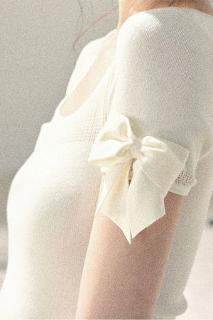 Cropped Hollow-Out Top