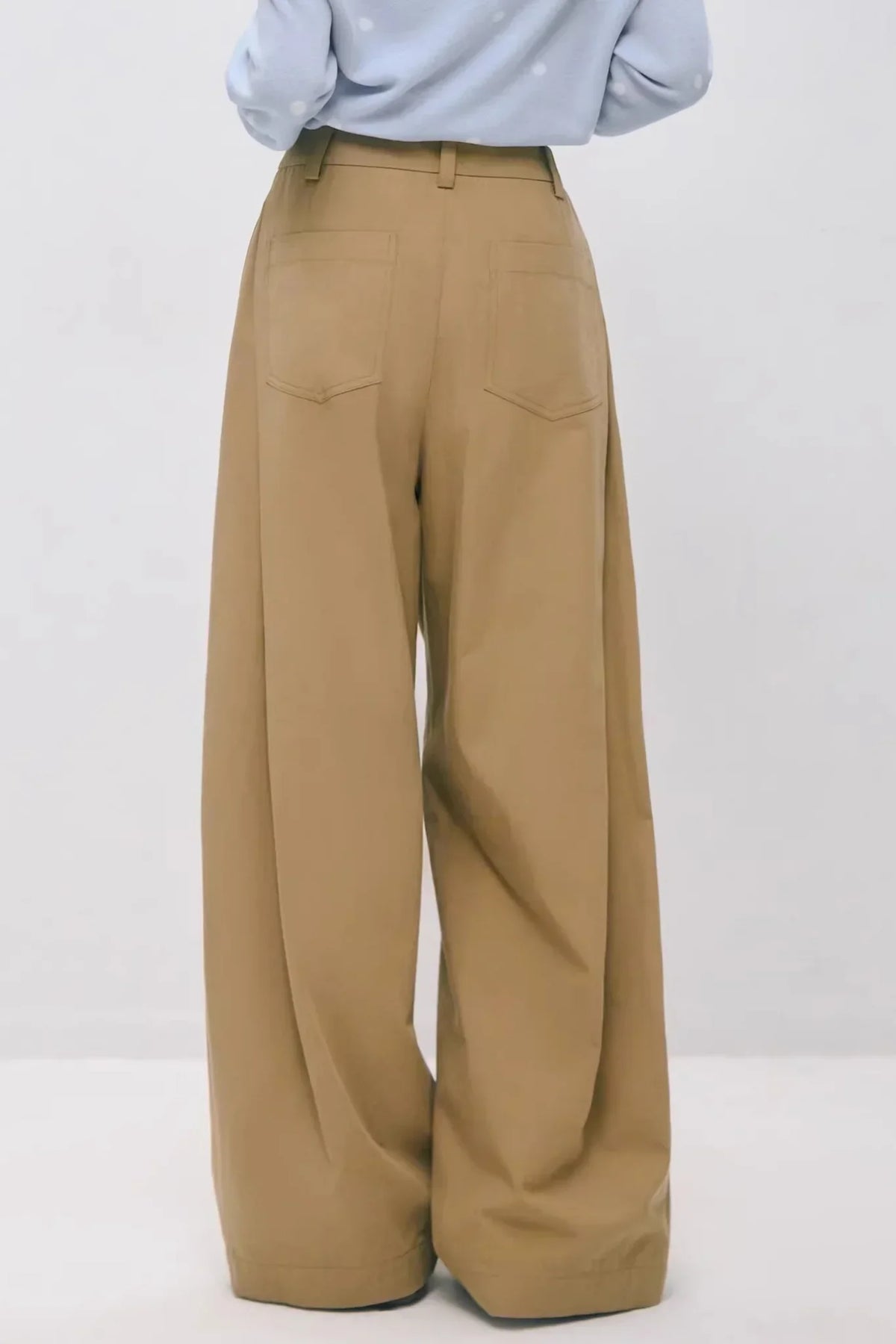 Double-Waistband Pleated Pants