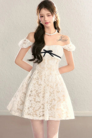 Embroidered Lace A-Line Slimming Dress