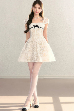 Embroidered Lace A-Line Slimming Dress