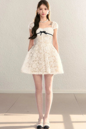 Embroidered Lace A-Line Slimming Dress