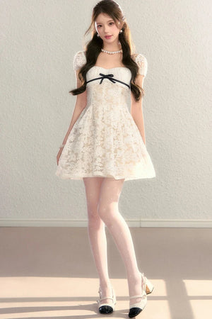 Embroidered Lace A-Line Slimming Dress
