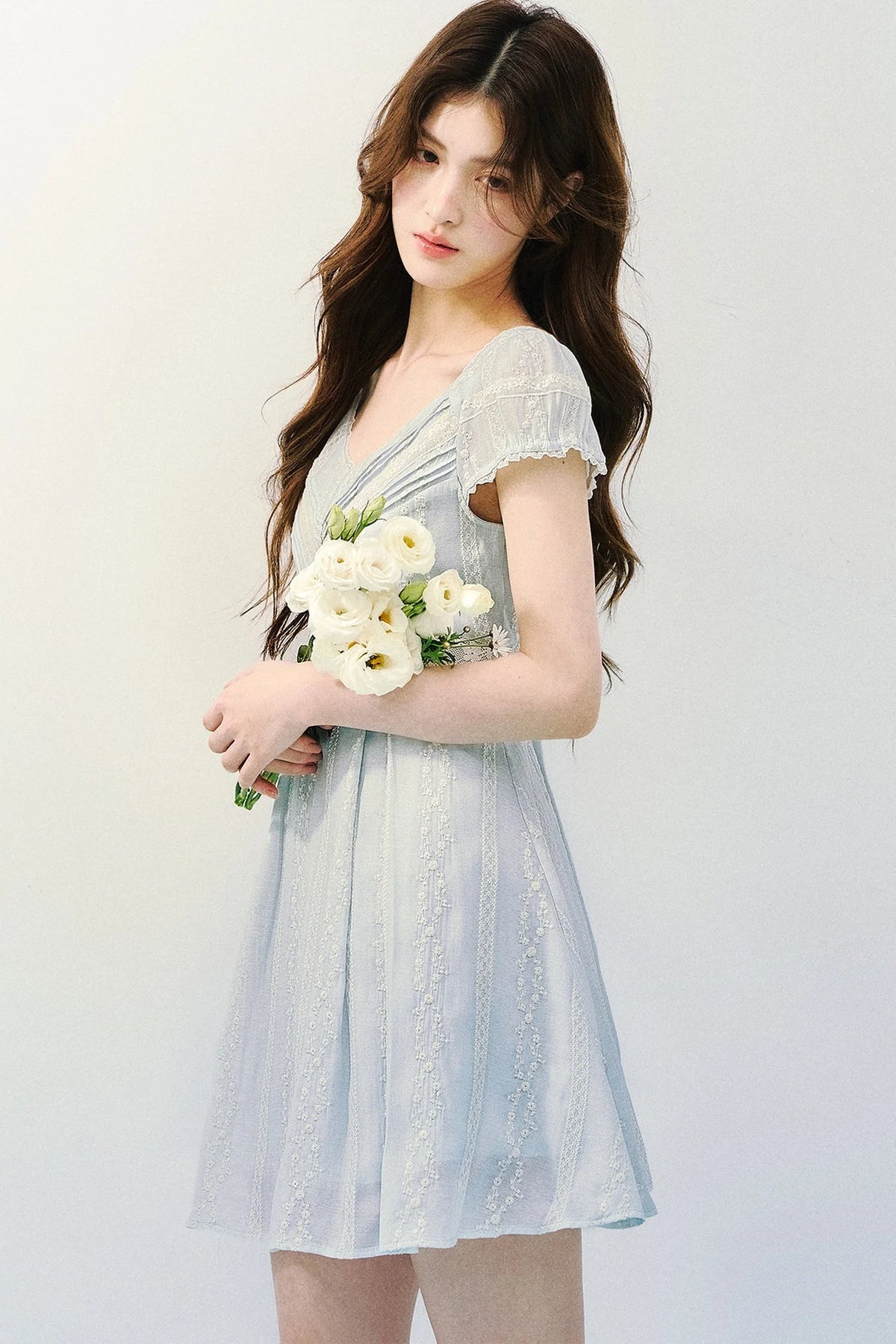 Embroidered Lace Retro Dress