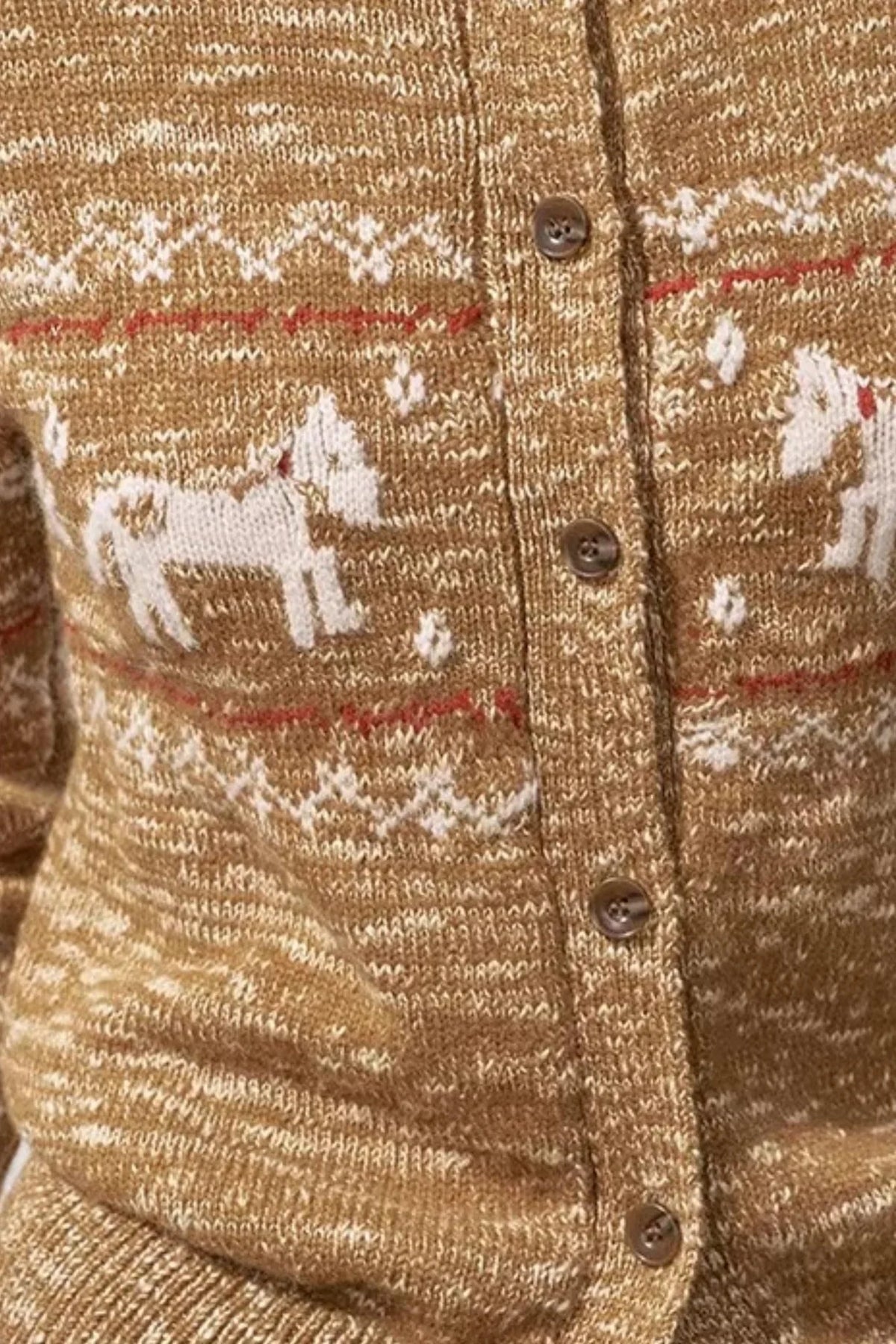 Fair Isle Floral Cardigan