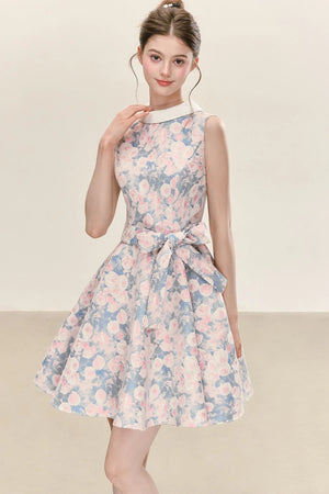 Floral Print Sleeveless A-Line Dress