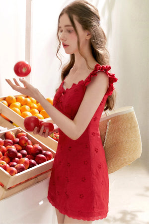 French Five-Petal Flower Embroidery Double-Layer Mini Dress